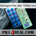 Kamagra Oral Jelly 100Mg Usa new02